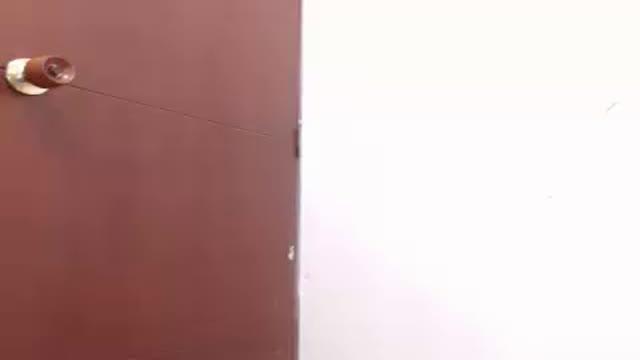candypaulet show [2017/01/28 12:15:28]