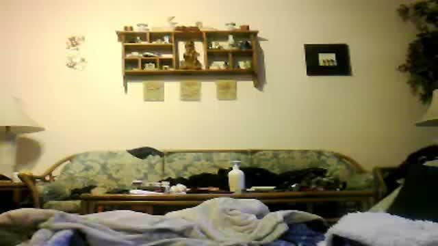 ratbrat porno [2016/01/31 01:03:04]
