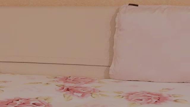 lolasplash download [2017/01/25 00:00:54]