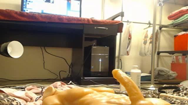 gamergirl32h [2015/06/20 17:00:54]