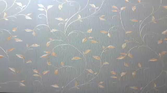 sofina_ video [2016/10/15 13:20:27]