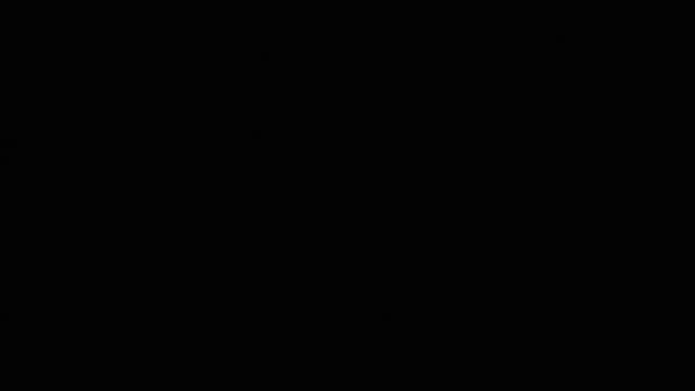 alegrawenda video [2016/07/15 16:41:19]