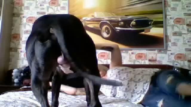 on22ona75f video [2017/01/18 12:20:27]