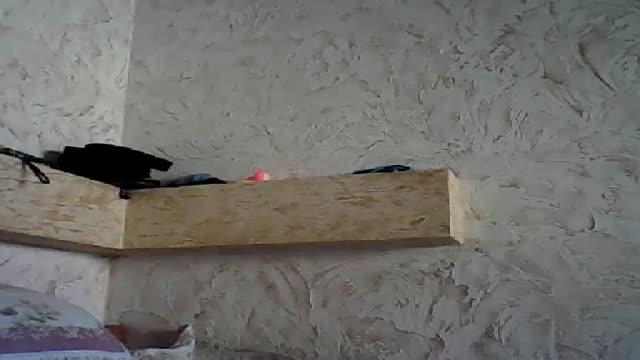 elif888 video [2015/09/09 05:00:56]
