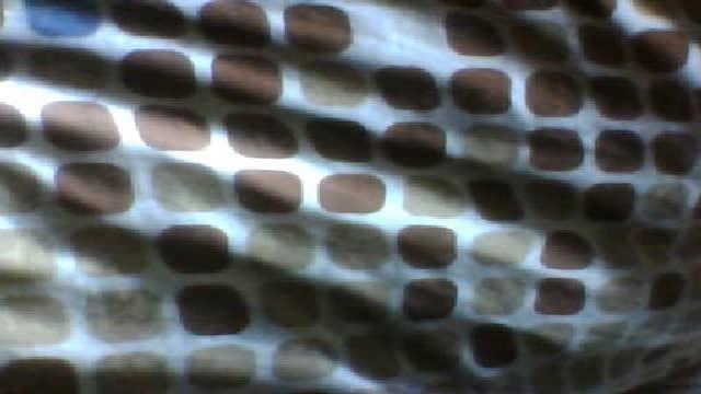 andrzej12317 cam [2017/01/26 04:00:27]