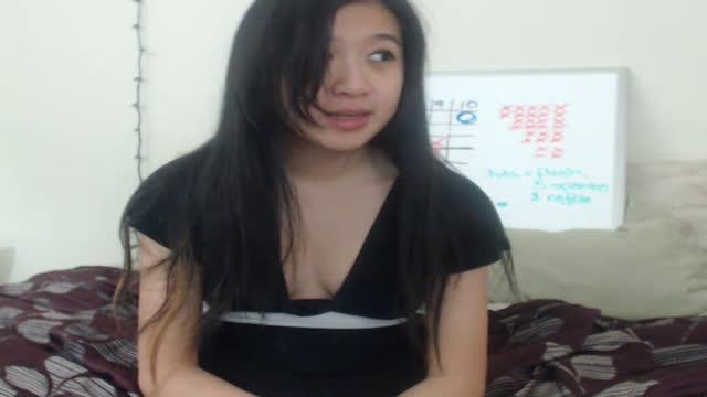 cosmicneko download [2016/10/18 07:40:27]