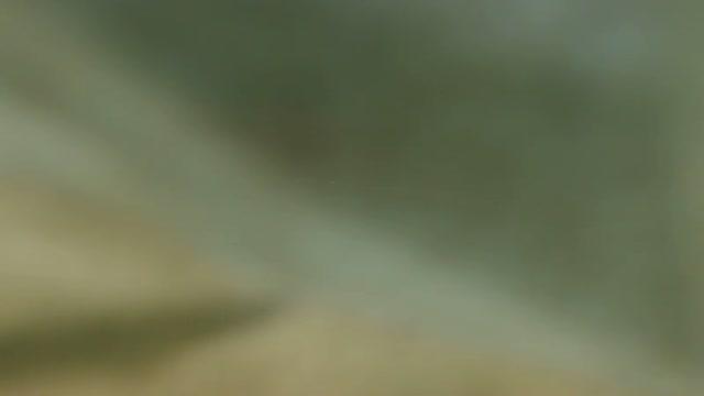 lolochkka adult [2017/01/19 06:10:28]