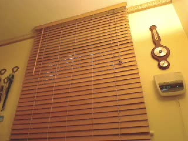 vivante recorded [2017/01/18 09:49:34]