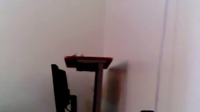 hot video [2017/01/24 13:17:23]