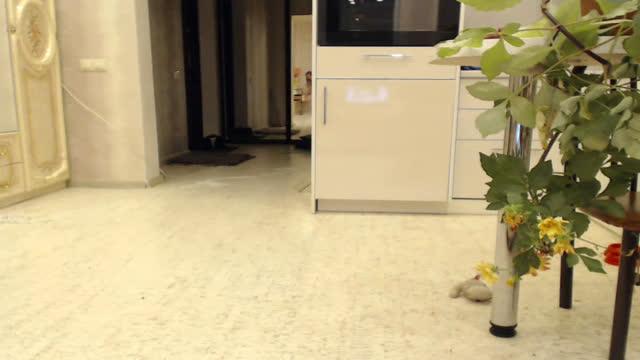 extra_wetxx show [2016/10/18 21:49:27]