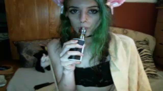 kittenscumpalace