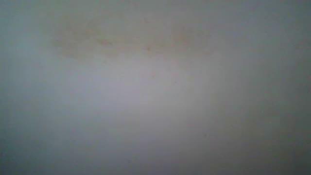 tianna95 cam [2015/09/04 15:01:00]