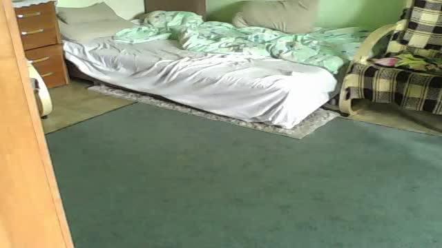 lesneszyszeczkiparka recorded [2017/01/21 13:30:51]
