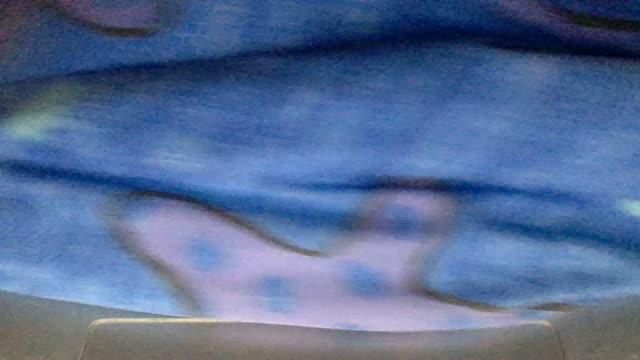 blackmimi download [2016/01/16 04:49:30]