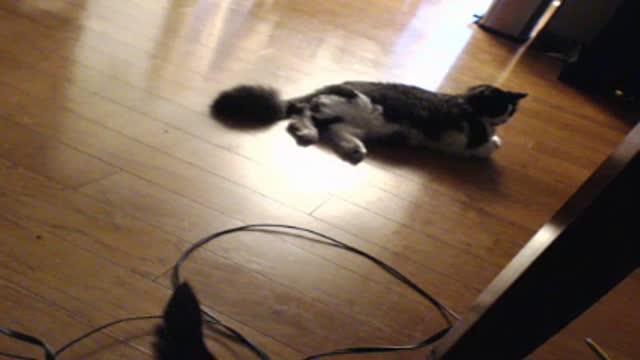 fuxscapacitor porno [2015/05/14 00:01:31]