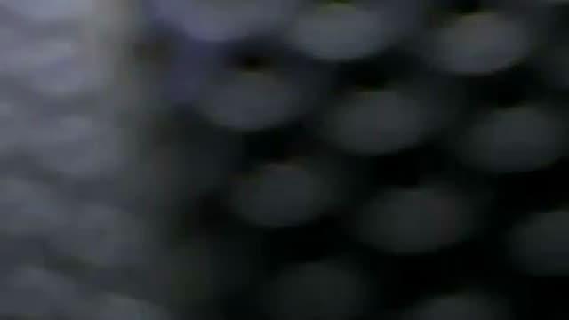 black_red_white show [2015/08/06 07:00:26]