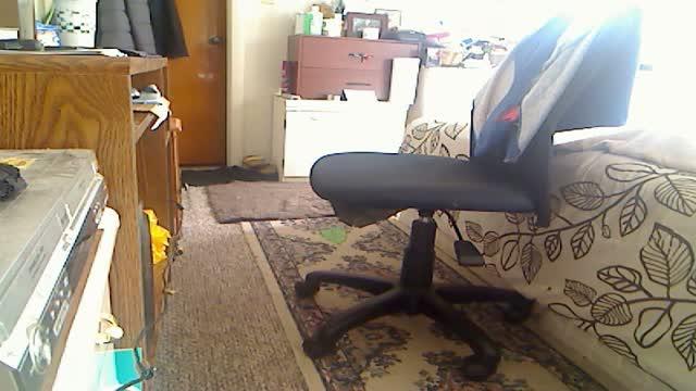 softail recorded [2016/04/20 14:16:09]