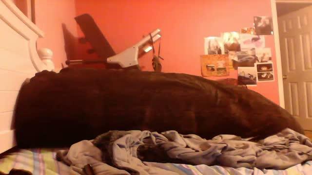 evafoxx1 recorded [2017/01/25 01:51:43]