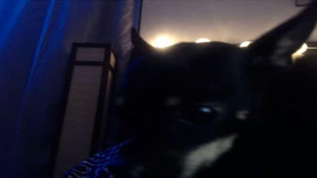 minnieb00m_ video [2017/01/18 03:30:54]