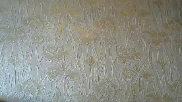 anastasiya888 webcam [2016/10/17 09:38:07]