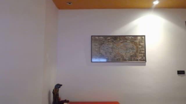 the_dani show [2017/01/31 01:53:33]