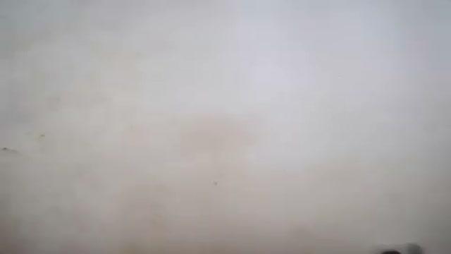 bellemine recorded [2017/01/21 10:00:44]