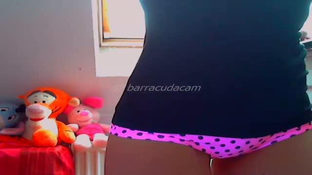 barracudacam show [2017/02/01 10:11:24]