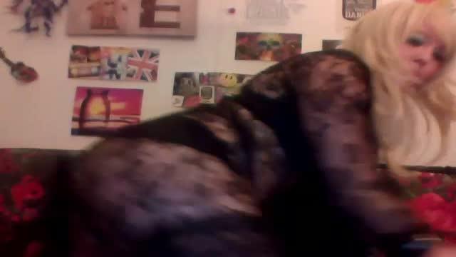 kittytalent show [2017/01/21 23:25:30]