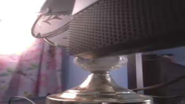 rabida porno [2016/01/07 18:37:59]