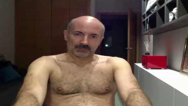 bilbotas