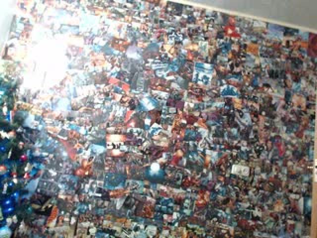 crazy_flower show [2017/01/17 15:15:53]