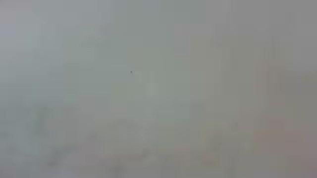 kim_adams19