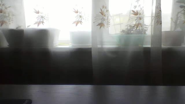 annamodel cam [2017/01/23 10:15:51]