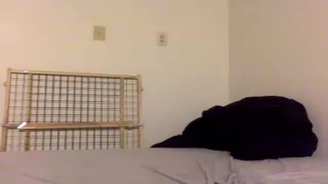 pepperschnapps adult [2017/01/19 12:30:42]
