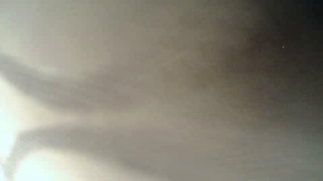 tranzyt1021 recorded [2017/01/29 12:31:07]