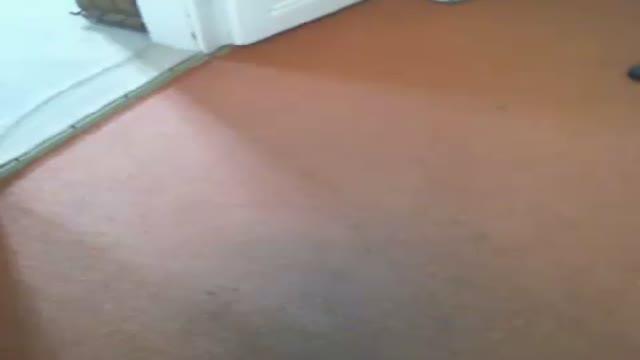 susioo1 show [2017/01/21 10:34:13]