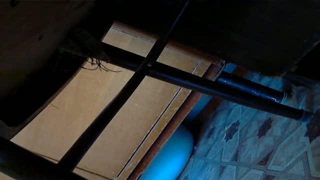 nina2101 download [2017/01/24 03:01:07]
