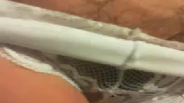 porcellinasex naked [2017/01/20 11:30:47]