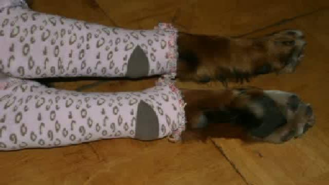 malenka_plus video [2017/01/24 21:15:51]
