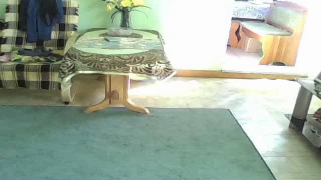 lesneszyszeczkiparka adult [2017/01/28 09:45:52]