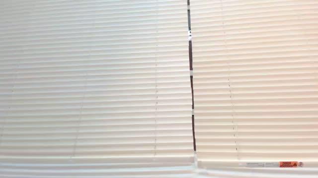 wildandwetbunnys cam [2017/01/26 08:31:07]