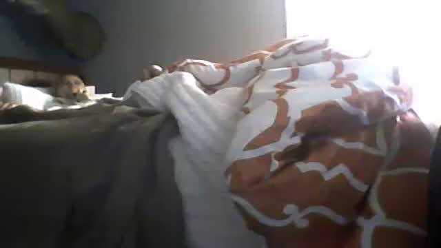 kittycat476 adult [2015/05/09 13:45:54]