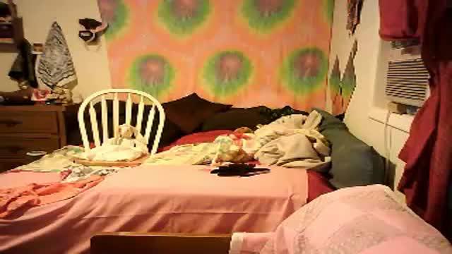 petmykitty recorded [2017/01/20 09:30:42]