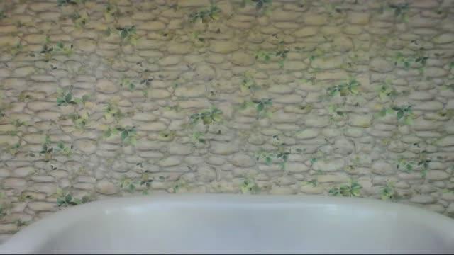 juliamatthew cam [2017/01/22 19:07:18]