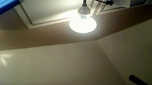 pussysquirts download [2017/01/18 03:31:49]