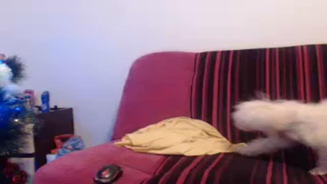 hotsquirt_ show [2015/12/24 23:11:32]