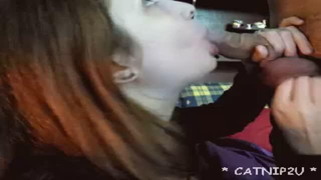 catnip2u xxx [2015/11/23 20:07:28]