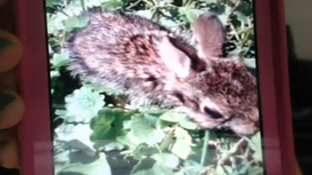 kimbernoelle recorded [2017/02/03 02:01:09]