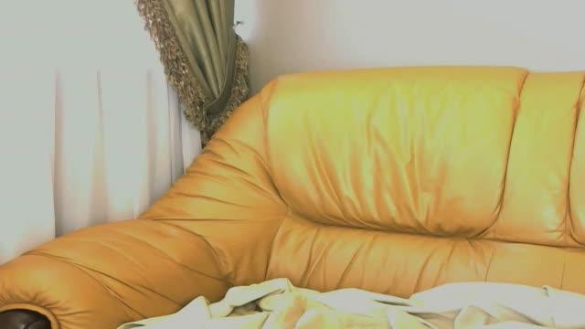 usanara show [2017/01/21 09:56:34]