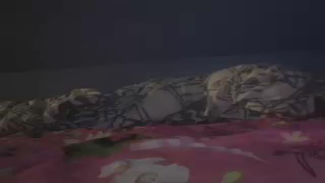 rabida show [2017/01/20 00:38:12]